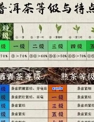 普洱茶专营店：品质茶叶选购指南、口感评价与泡茶技巧一应俱全