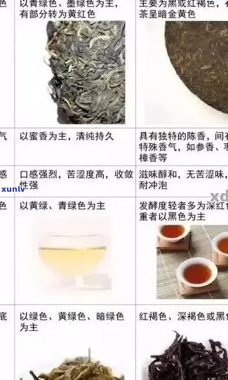 普洱茶专营店：品质茶叶选购指南、口感评价与泡茶技巧一应俱全