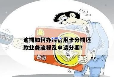 信用卡逾期后如何办理分期手机业务？相关政策及流程解析