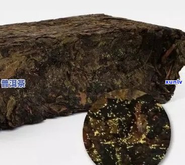 探寻普洱茶金花的神奇之处：从起源、品质到功效