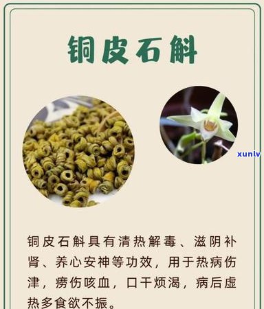 普洱茶金花究竟能否饮用：解析普洱茶中的神秘金花成分