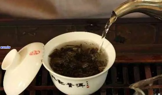 探索生普洱茶的完美泡法：何时出水以及如何控制时间