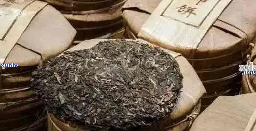 广东仓普洱茶的仓味：探究其独特风味与存放技巧