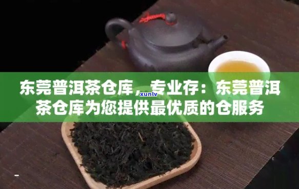 东莞仓普洱茶怎么样