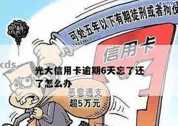 光大信用卡逾期5天怎么办：如何补救和解决？