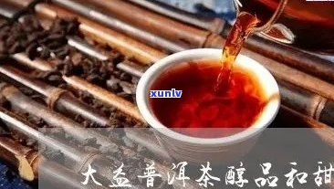 大益醇品熟茶：品质优良，口感醇厚的茶叶佳品