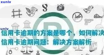 信用卡逾期的全方位解决方案：了解禁忌、预防与补救策略