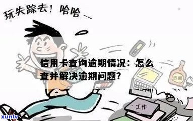 阳光查询系统信用卡逾期怎么办：如何办理和解决逾期问题？