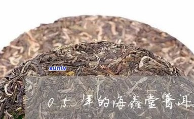 海堂普洱茶好喝吗