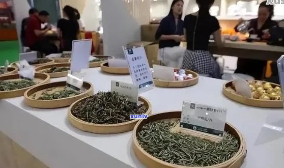 市场是否存在普洱茶供应？