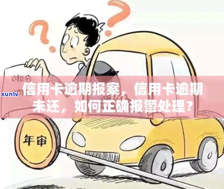 被信用卡诈骗盗刷造成的逾期报警处理 *** 