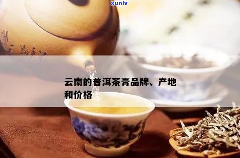 云南普洱茶膏生产厂家地址 *** 及联系方式