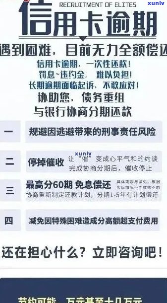 如何查询信用卡逾期记录：详细步骤与影响分析