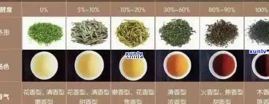 探究糯香普洱茶的茶叶种类及其与绿茶的区别