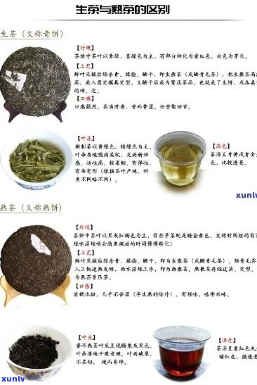 探究糯香普洱茶的茶叶种类及其与绿茶的区别