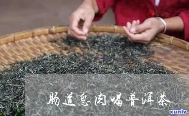 肠息肉患者可以喝普洱茶吗？普洱茶对肠息肉的影响及注意事项