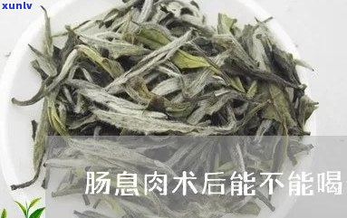 肠息肉患者可以喝普洱茶吗？普洱茶对肠息肉的影响及注意事项