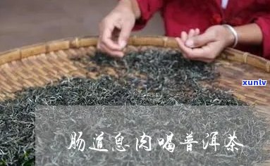 肠息肉患者能喝普洱茶吗？有好处吗？