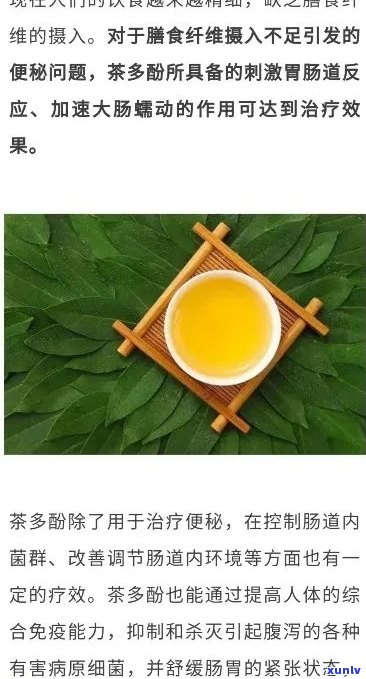 肠息肉患者饮茶：适宜种类与注意事项