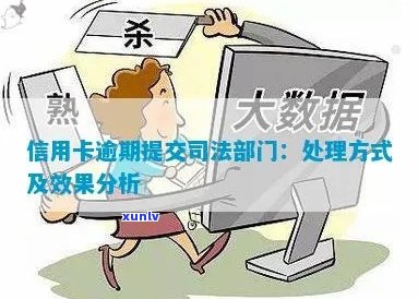 信用卡逾期后的法律处置：分期还款还是交给法律部门？