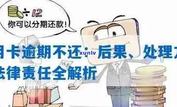 信用卡逾期后的法律处置：分期还款还是交给法律部门？