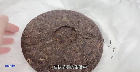 高血压患者可以喝普洱茶吗？普洱茶对高血压患者有什么益处和禁忌？