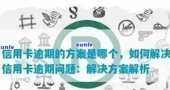 从信用卡逾期到修复：详尽流程解析，为你解决一切问题