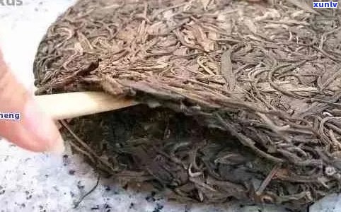 变质普洱茶的用途和作用：喝了变质普洱茶会有什么影响？