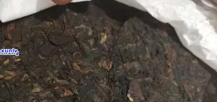 变质普洱茶的用途和作用：喝了变质普洱茶会有什么影响？