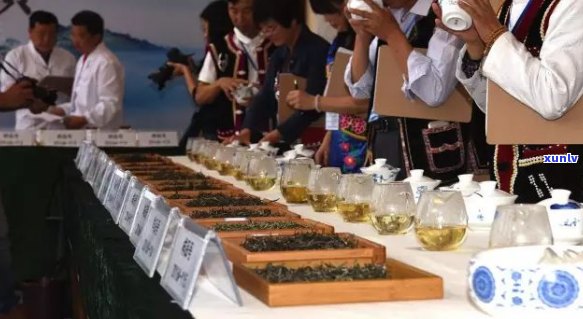 寻找普洱茶拍卖会的举办地点：一场茶叶宴的文化与经济交汇点