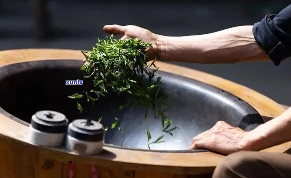 普洱茶香氤氲中，窑文化绽放新彩——探索用普洱茶养出的窑之美