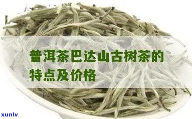 2012年巴达山普洱茶特点：古树茶价格，不受欢迎及产区介绍