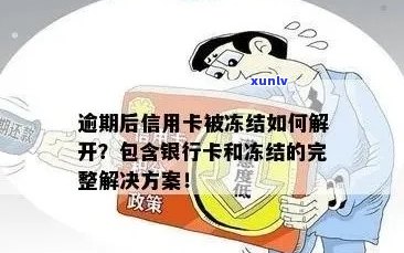 逾期后信用卡被冻结如何解开：解冻 *** 与注意事项