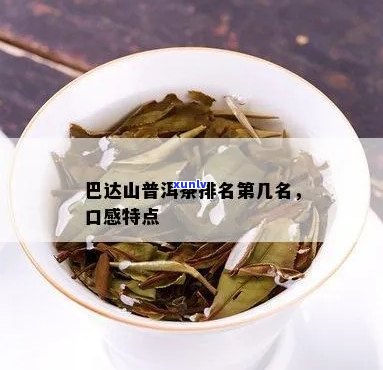 巴达山普洱茶：产区特点、品类区别与鉴要点