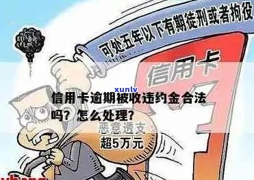 忘记还信用卡被收违约金-忘记还信用卡被收违约金怎么办