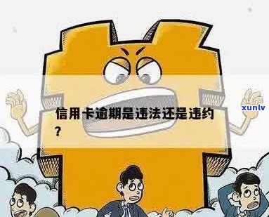 信用卡逾期会违法吗