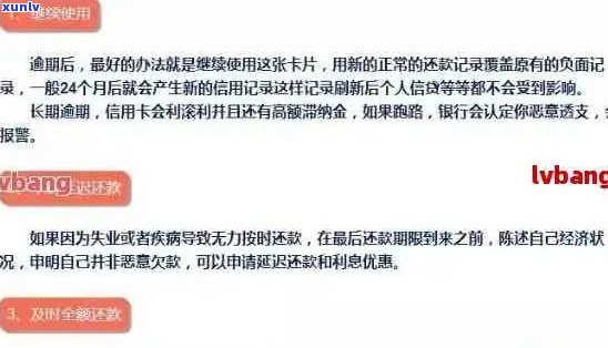 信用卡逾期报案全攻略：如何处理、需要准备哪些材料以及相关注意事项