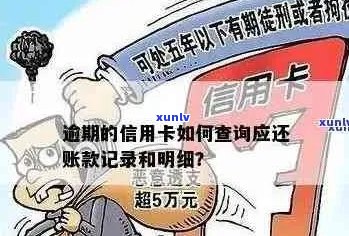 掌握信用卡逾期记录查询技巧，从此告别信用黑名单！