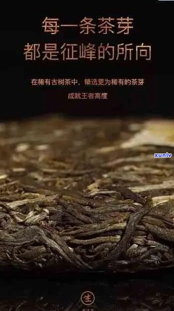 班章传奇普洱茶：一款传承千年古树的神秘之饮