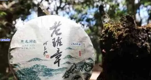 班章传奇普洱茶：一款传承千年古树的神秘之饮