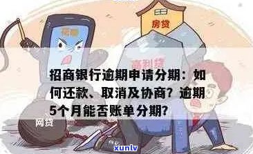 招行信用卡逾期还款分期问题解答：是否可以期还款及分期方案介绍