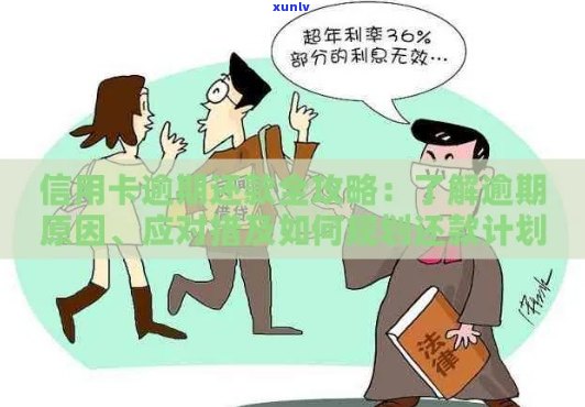 信用卡逾期还款全攻略：如何规划、协商和避免逾期的详细步骤解析