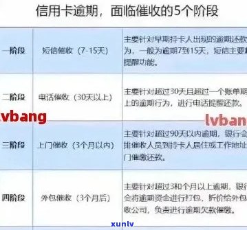 信用卡逾期报案全方位指南：如何处理、影响与预防措