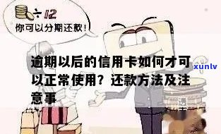 信用卡逾期初期还款怎么办？