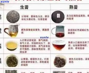 普洱茶茶韵：品鉴、功效与泡法全方位解析