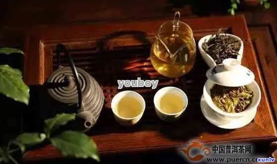 普洱茶的韵味是什么意思？普洱茶的韵味是什么口感？普洱茶韵味级别有哪些？