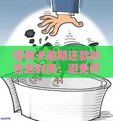 信用卡逾期还款新策略：如何避免罚息和信用损失？