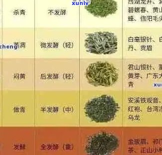 普洱茶价格大全：36种普洱茶品种及其市场价全面解析