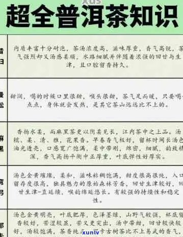 全面了解三十六计套装普洱茶的价格、品质与选购技巧，助您轻松成为茶道高手