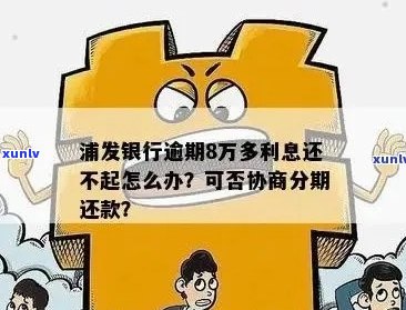 浦发银行信用卡逾期超过8万，如何解决高额利息还款难题？